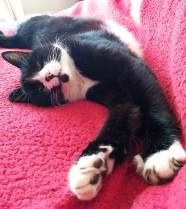 20140120_091951 - Copy